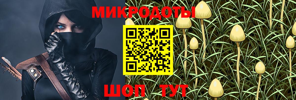 Псилоцибиновые грибы мицелий Балашиха