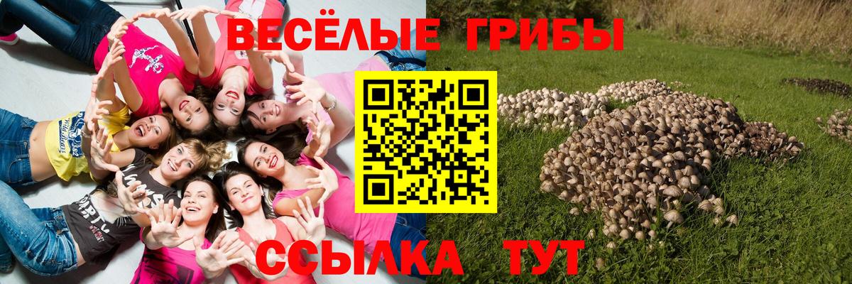 Балашиха  Псилоцибиновые грибы ЛСД  Вход с VPN  закладки  Псилоцибиновые грибы Psilocybine cubensis 